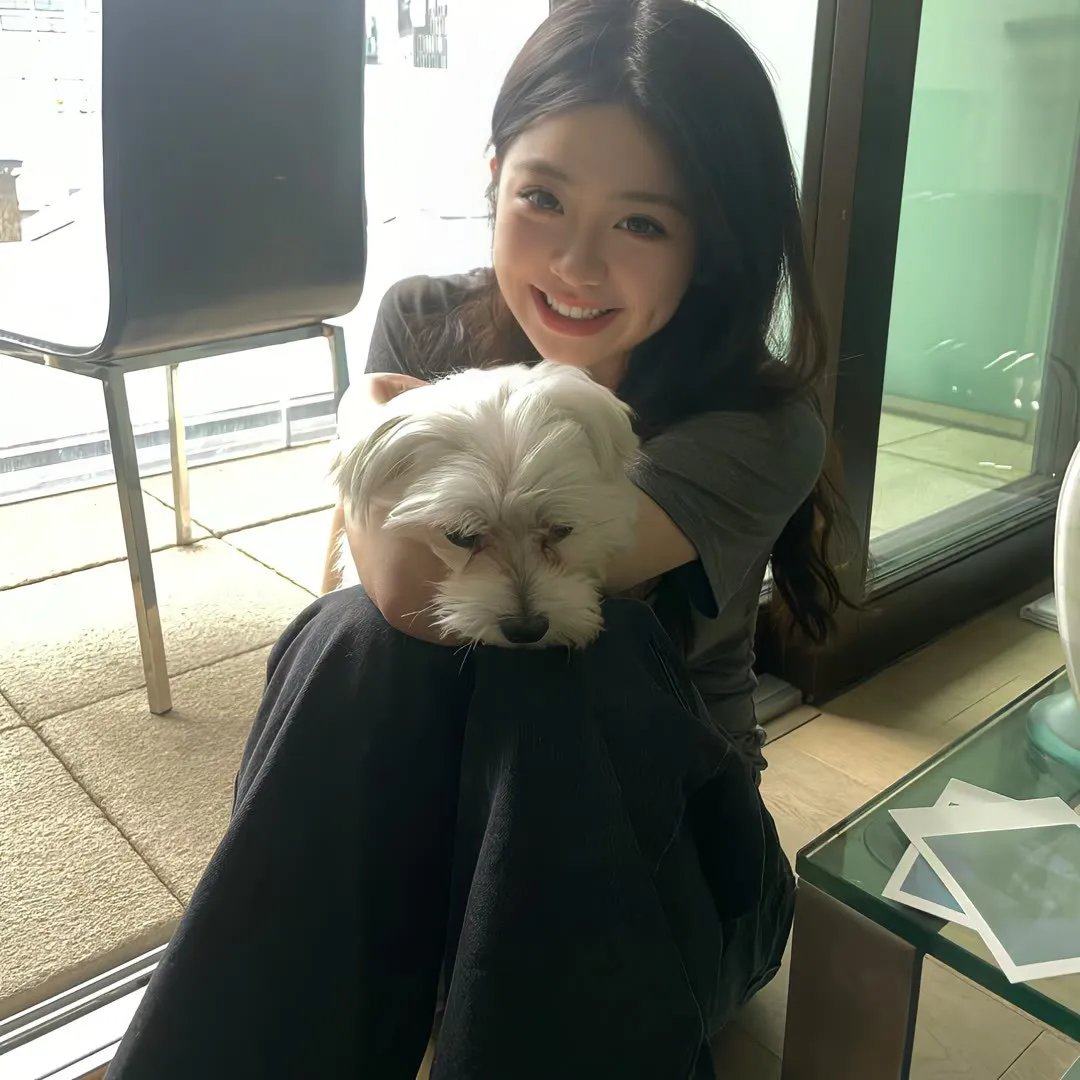 尼姆的实验封面