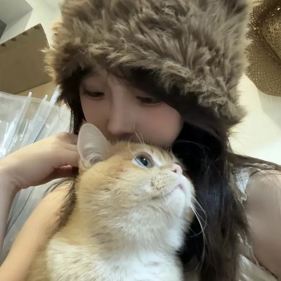 爱情公寓封面